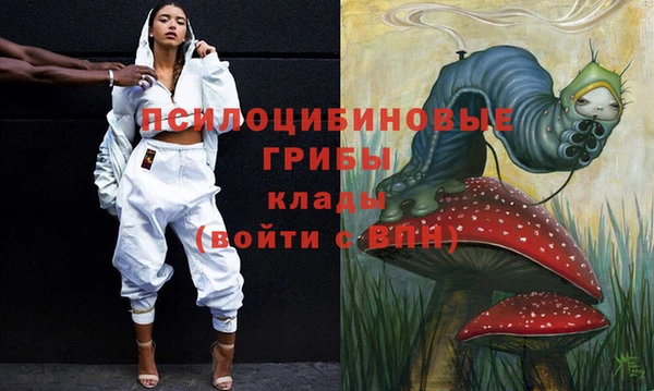 Альфа ПВП Алексин