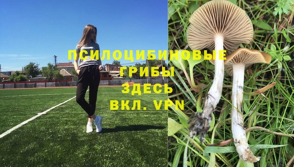 кокс Семилуки