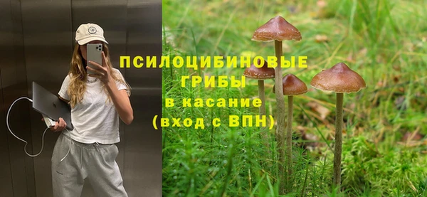 стафф Алзамай