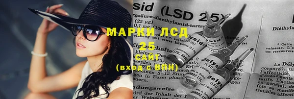 стафф Алзамай